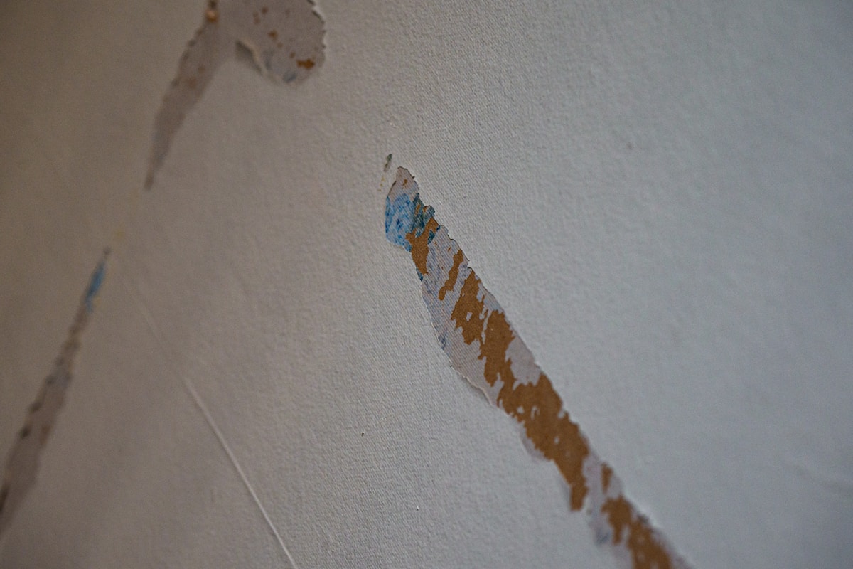 Basement Water Removal service in Kenner, LA